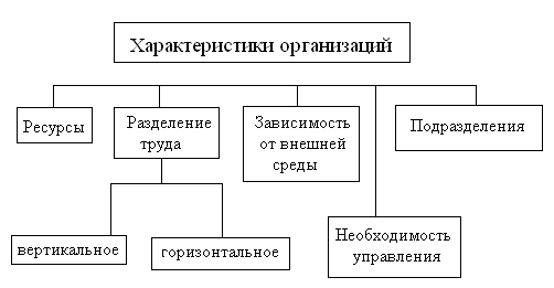 Курсовая работа: Вертикальное и горизонтальное разделение труда в организации