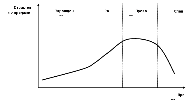 Реферат: Анализ жизненного цикла товара