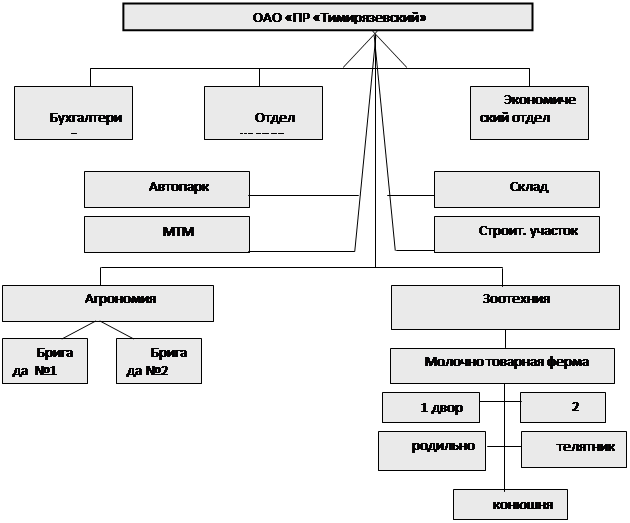 Реферат: Организационная структура предприятия, ее реорганизация