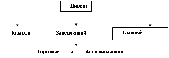 Реферат: Организация аудиторской проверки