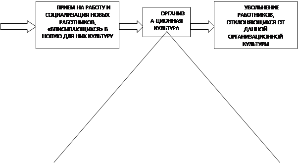 Изменение Организационной Культуры Реферат