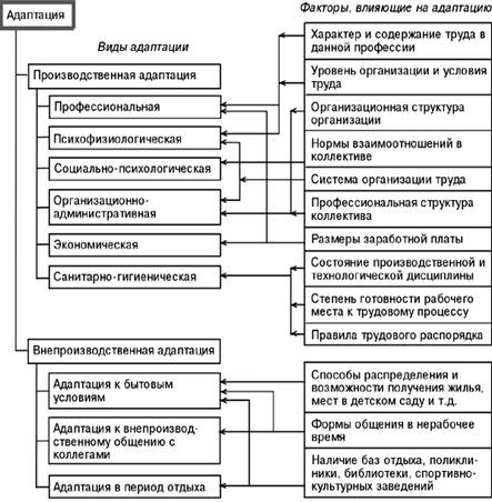 Реферат: Адаптация персонала